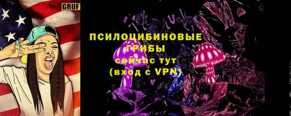 ГАЛЛЮЦИНОГЕННЫЕ ГРИБЫ Армянск