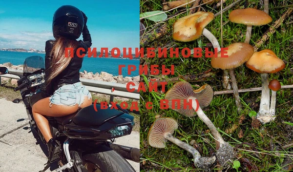 гашишное масло Аркадак