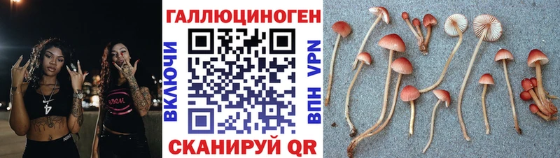 Галлюциногенные грибы прущие грибы  Урус-Мартан 